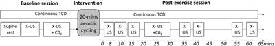 <mark class="highlighted">Cerebrovascular Function</mark> in the Large Arteries Is Maintained Following Moderate Intensity Exercise